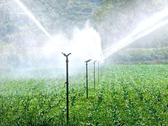 節水灌溉方式及優點分析